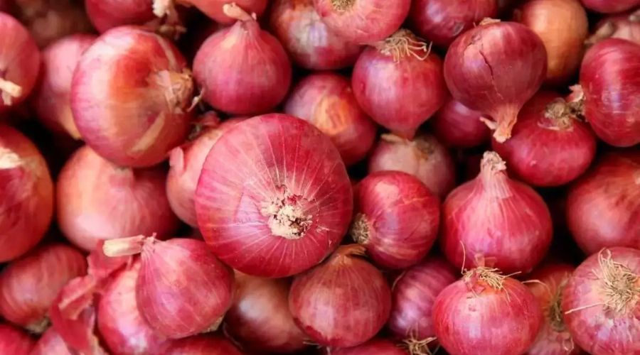 Farmers' organization aggressive on onion export! 'This' demand was made by protesting in Chakkajam