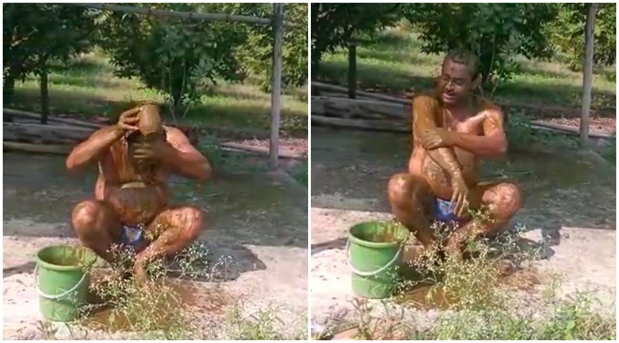 cow dung baths and cow dung smears; Read complete information about it