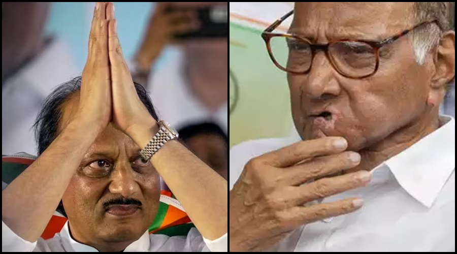 Will NCP get a big shock? 'These' three big leaders will not contest the upcoming elections