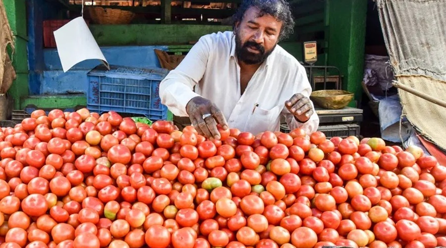There is no sound of the farmer! 38 lakh rupees earned from selling tomatoes in a single day
