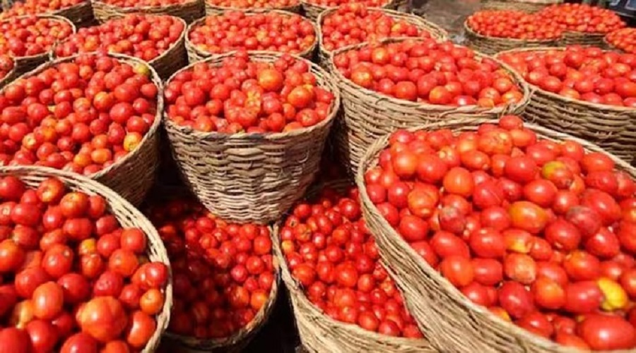If tomatoes seem expensive, don't eat them, BJP minister's strange advice stirs excitement