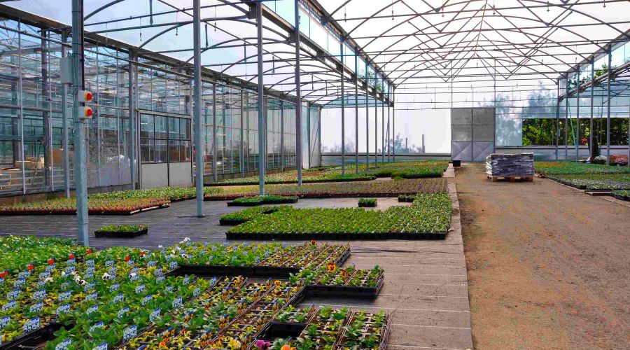 Farmer brothers, get a grant of 3 lakh 55 thousand by setting up a shednet, get this benefit