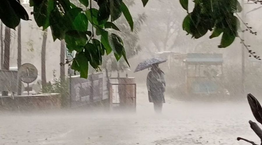 Strong arrival of rain in the state, heavy rain will fall in 'these' districts