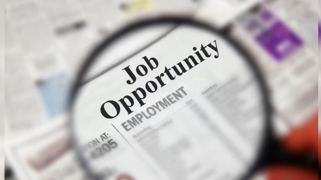 Bank Of Baroda Recruitment