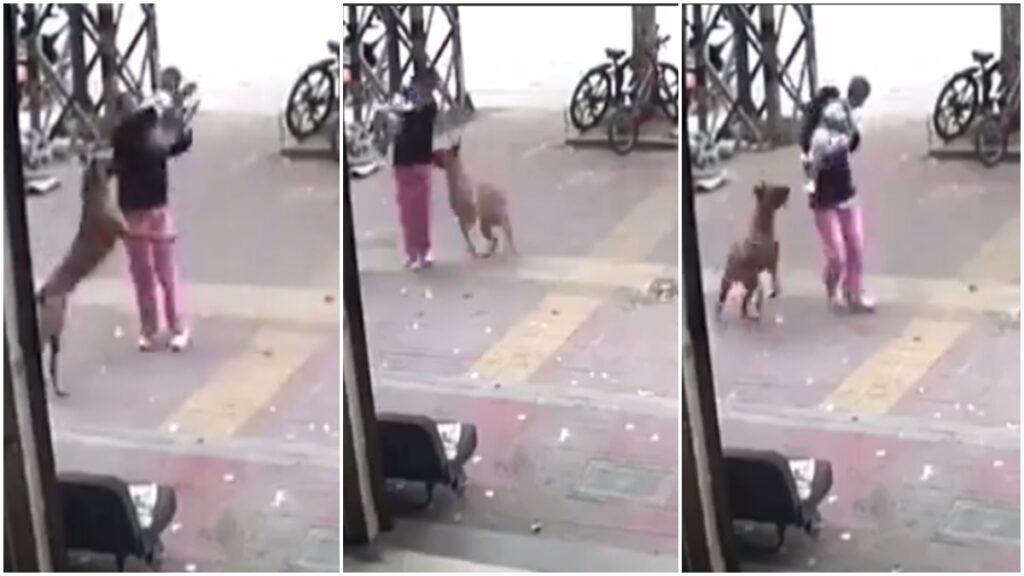 viral video