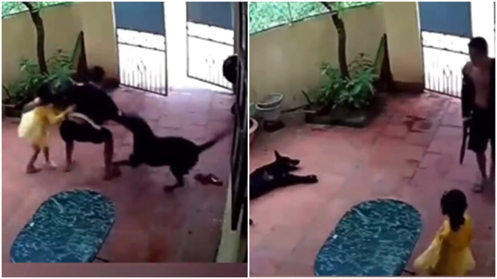 Viral Video