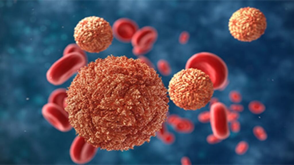 Pune Zika Virus